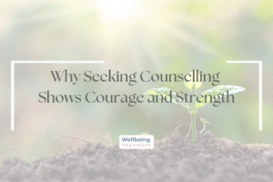 Small plant shooting through the soil in soft sunlight